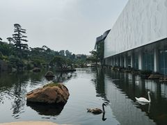 -罗红摄影艺术馆