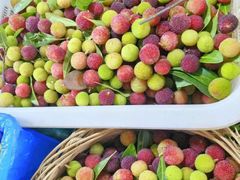 -三锅莊·牦牛肉火锅·香格里拉特色藏餐宴请餐厅(菱角塘路店)