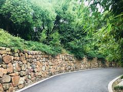 -昆山城市生态森林公园