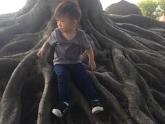 -东莞植物园
