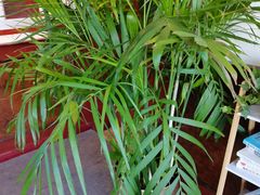 -老城南食府(宣武门东大街店)