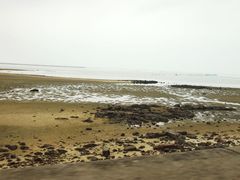 -北海金海湾红树林生态旅游区