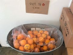 -柑橘农场