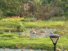 -老唐三下锅 ·张家界地标美食(溪布街店)