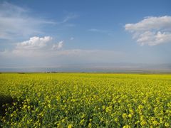 -青海湖国家重点风景名胜区