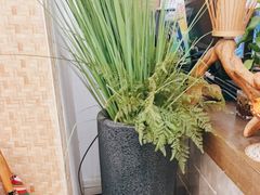 -耳艺采耳·足疗(东圃店)