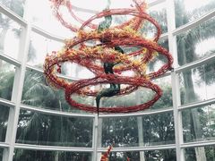 -深圳国际园林花卉博览园