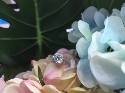 -威德钻石-克拉钻大本营(南京东路店)