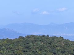 -大姆山草场