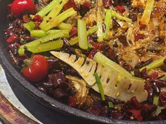 -老板恋上鱼(恒隆广场店)