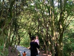 -普陀山风景区-佛顶山