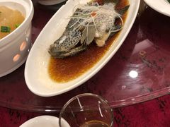 -碧丽宫大酒店(召稼楼店)
