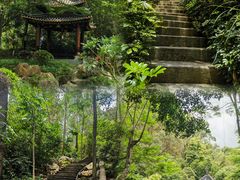 -顺峰山公园