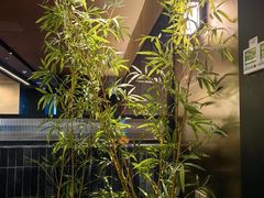 -顺香居·老字号湖北菜(江汉路店)