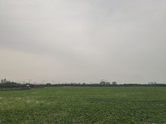 -天津东丽湖风景区