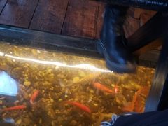 -颐和•海鲜砂锅粥•啫啫煲(奥林匹克广场店)