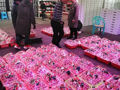 -双福水果批发市场