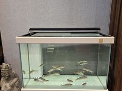 -鲁菜根·泰山菜(泰山店)