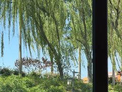 -皇家御河游(紫御湾码头)