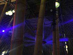 -Bamboo Bar & Grill Restaurant