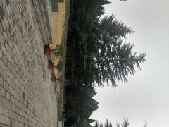 -秦始皇帝陵博物院-丽山园