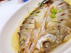 厨娘鸡汁嫩白鱼-小厨娘淮扬菜(清江苏宁广场店)