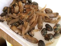 -金海湾海鲜排档(朱家尖店)