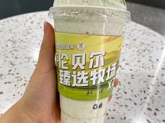 -茉酸奶(春熙路店)