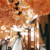 来望京必打卡——樱花树下烤肉店九田家‼️