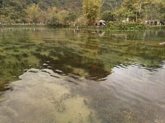 -靖西鹅泉风景区