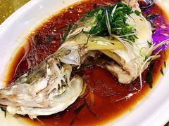 清蒸桂花鱼-新兴家喻酒家·羊城名宴(昌岗店)