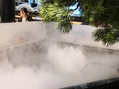 -洪氏嗨捞·猪肚鸡火锅(阳光天地店)