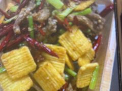 -鼎原力量东北吊炉烧烤(临河街店)