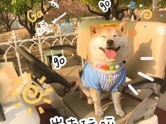 -石家庄市植物园