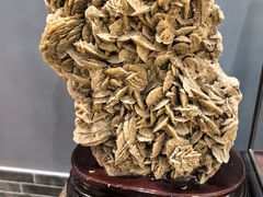 -游龙石文化科普馆