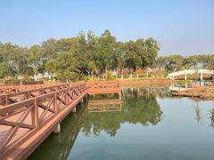 -金银湖国家城市湿地公园