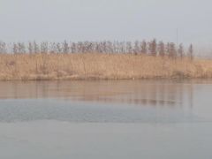 -盐城丹顶鹤湿地生态旅游区