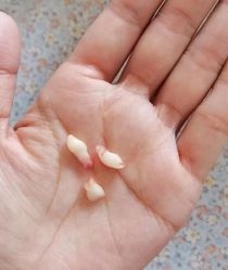-小米熊儿童医院