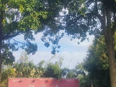 -有猫主题·治愈系猫咖(曾厝垵店)