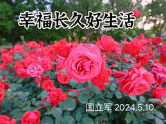 -大兴世界月季主题园