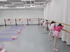 -中央芭蕾舞团·中芭艺蕾(酒仙桥明星校区)