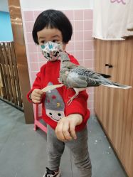 -Moni星球萌宠·小马宝莉·灵蛇·高端高阶全萌宠互动体验俱乐部(红豆国际广场店)