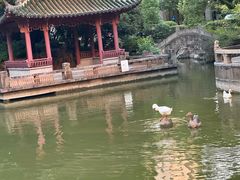 -上海千禧海鸥大酒店