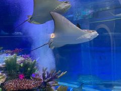 -成都浩海立方海洋公园