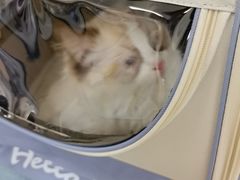 -美联众合动物医院·24h京西诊疗中心