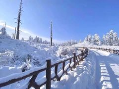 -瓦屋山景区