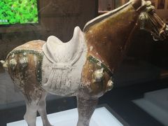 -衢州市博物馆