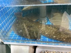 -宾朋海鲜饭庄(兴海路店)