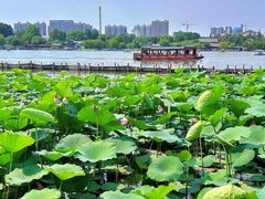 -济南大明湖景区