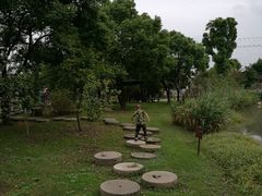 -鹅湖玫瑰文化园